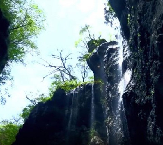 青山綠水，白龍江畔江畔息白鷺，兩岸綠橄欖入眼的都是純樸自然枝上花開(kāi)，春來(lái)水暖魚(yú)蝦戲水，鳥(niǎo)語(yǔ)花香心中充滿(mǎn)著舒暢之感祥宇生態(tài)產(chǎn)業(yè)園，位于隴南市武..